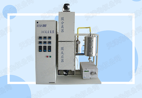 WFS-M-3060A 膜反应分离与固定床装置